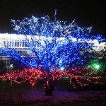 В Волчанске ищут тех, кто лучше всех «украсится» к Новому году