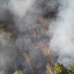 Лесные пожары в Карпинске и Волчанске могут начаться в конце апреля