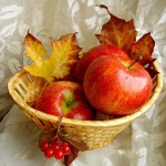 «Золотая осень» придет к садоводам Карпинска