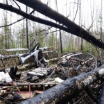 В Серове найден пропавший почти год назад Ан-2. В восьми километрах от города