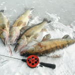 В Карпинске пройдут соревнования по подледному лову рыбы