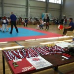 Карпинские бойцы завоевали все виды наград на окружном турнире по каратэ (ВИДЕО)