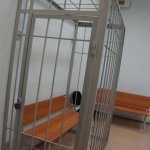 Житель Карпинска приговорен к пожизненному лишению свободы