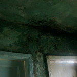 Стены и потолок в тамбуре санузла не просыхают уже несколько лет