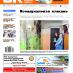 Об убитом белом лебеде, о стенах в плесени, о последних решениях депутатов рассказывает «Вечерний Карпинск»