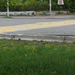 Краска для дорог была в цвет одуванчиков на газонах.