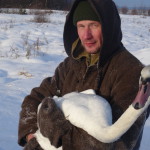 Александр Степанов, местный охотник,  поймал лебедя, когда птица убегала по снегу