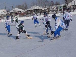 Термин «хоккей с мячом» является официальным в России. В международной практике принято название «бенди». Изначально в России хоккей с мячом носил название «русский хоккей». 