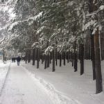 Тротуары в центре город от снега расчищены. Фото: Дина Сударева, "Вечерний Карпинск" 